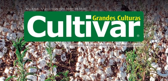 Nova Pesquisa Revela Estratégias Essenciais para o Controle da Mancha de Bipolaris no Milho Safrinha
