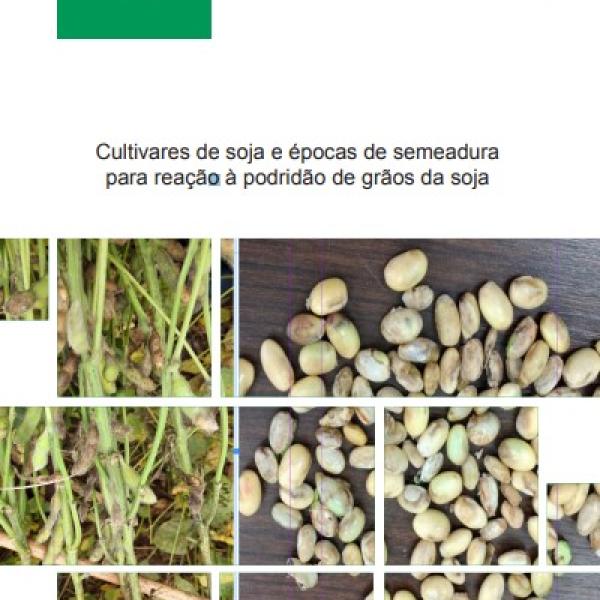 Cultivares de soja e épocas de semeadura para reação à podridão de grãos da soja