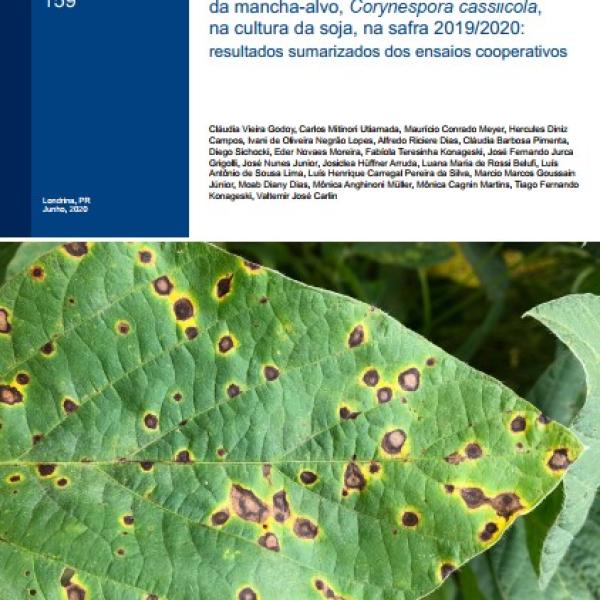 Divulgados os resultados do Esaio Cultivares em Rede - Soja 2022/2023 -  Folha Popular